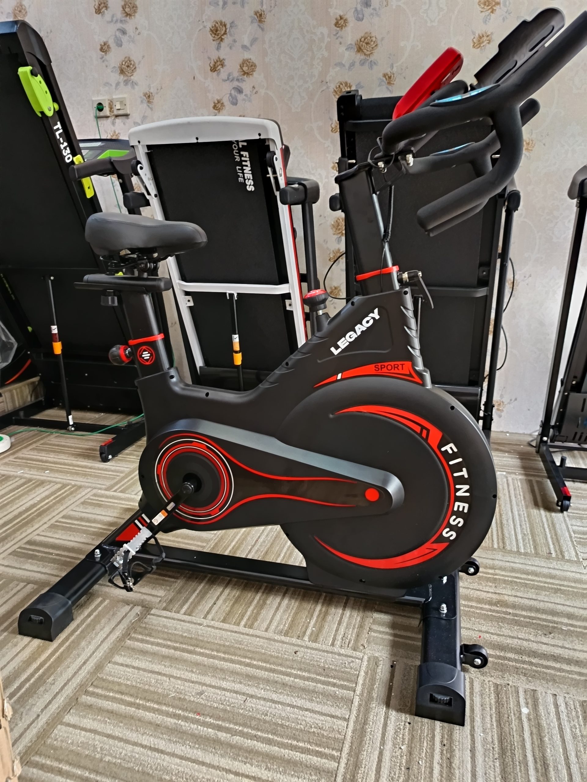 SEPEDA STATIS LEGACY LION - Gambar 2